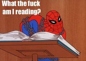 Spiderman wtf am i reading.jpg