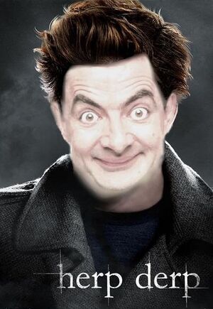 Twilight - Mr. Bean - 01.jpg