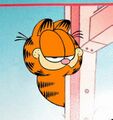 Go back to bed Garfield...