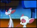 "The same thing we do every night, Pinky—try to take over the world!" - Brain