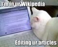 it are fact. i know bcuase i edtied the wikipedia article about it