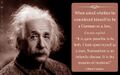 In regards to politics, Einstein was just another human-hating Marxist kike.