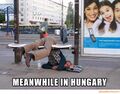 Average Budapest habitant