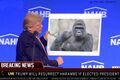 Harambe (he actually got 15,000 votes lol, the absolute mad monkey)