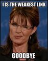 Sarah Palin, you have the creepiest wink. Goodbye.