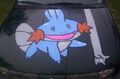 Mudkip painted on the hood of a car next to Longcat