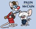 They're Palin and McCain, Yes, Palin and McCain, One is a Maverick, The Other's Insane!