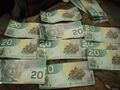 $500 in Canadian lioncash, which equals $9034 wtf? its actually $441.46 $474.65 $473.44 $491.73 $485.63 USD.