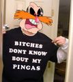 Bitches don't know bout my PINGAS