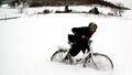 Snow in Toronto