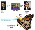 If Obama were a Pokemon, this is how he would evolve.