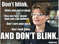 The Sarah Palin Adventures