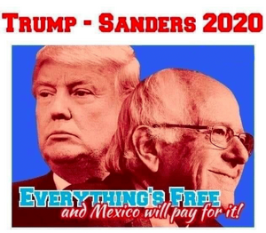 Trump Sanders 2020 Ticket meme.png