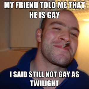 Twilight - Meme - Not As Gay - 05.jpg