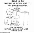 Rule 34 is all that you need to know about the internet in regards to porn