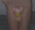 Losttrap enjoys fucking Pokemon dolls up the ass and posting pics of it on /b/.