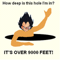There are over 9000 pics of Holeguy