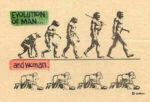Evolution man woman.jpg