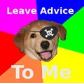 advice dog