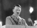 Hitler was really a nigger