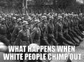 What happens when Whites Chimpout