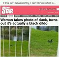 A duck is not fine, too