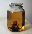 Mario Piss Jar
