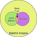 fig (1): Venn Diagram of the Baby Fur Conjecture. note: baby furs ⊂ furries ⊂ batshit insane