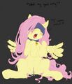 CLOP* ‎