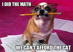 Math dog.jpg