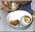 Satisfying and delicious balut