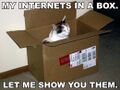 internets come in a box with a handy-dandy cat.
