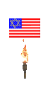 Some people wish it were illegal to burn the US flag IRL