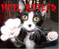 Heil Kitler