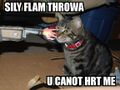 Silly flame thrower can't hurt kitty.