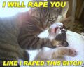 Cats love to get raped, so do women.