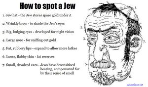 Important jew information.jpg