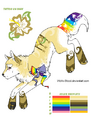 Rainbow tail, a common trait of sparkledogs