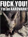 ...However aardvarks beat anteaters and dragons any day. BRING IT!