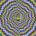All glory to the Hypnocat!
