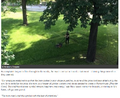 Alleged neo-nazi tends to his lawn