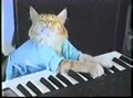 Keyboard Cat