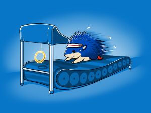 Hedgehog treadmill.jpg