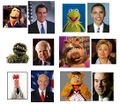 Which Muppet are you?
