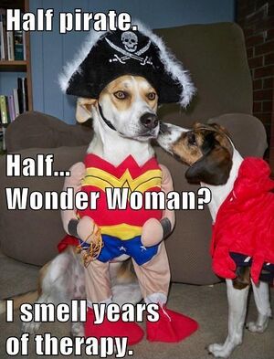 Wonder Woman Pirate Dog.jpg