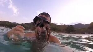 Diver nikolaos kepesidis face-raped by octopus 2016.jpg