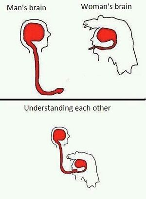Men and women's brains understanding each other.jpg
