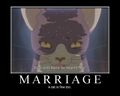 In marriage, a cat is fine too