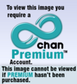 pranking the 4chan gold account system
