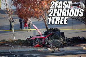 2fast2furious1tree.png